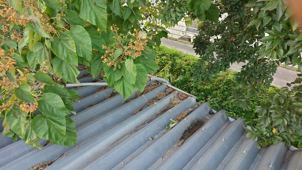 枯葉が腐り屋根材の間にたまってます。長期間になると屋根材が傷んで雨漏りすることがあります