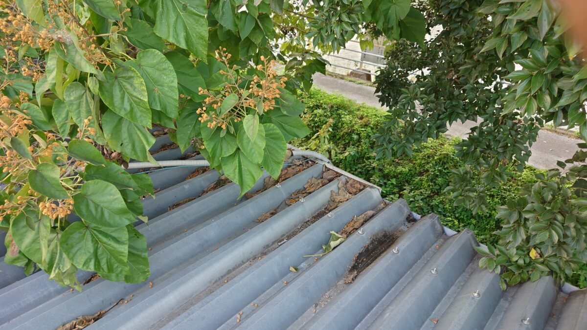 枯葉を取り除いて屋根材を長持ちに！