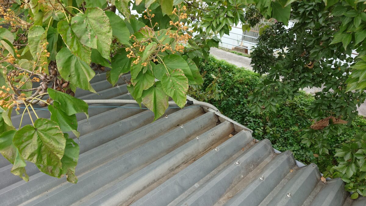 枯葉を取り除いて屋根材を長持ちに！