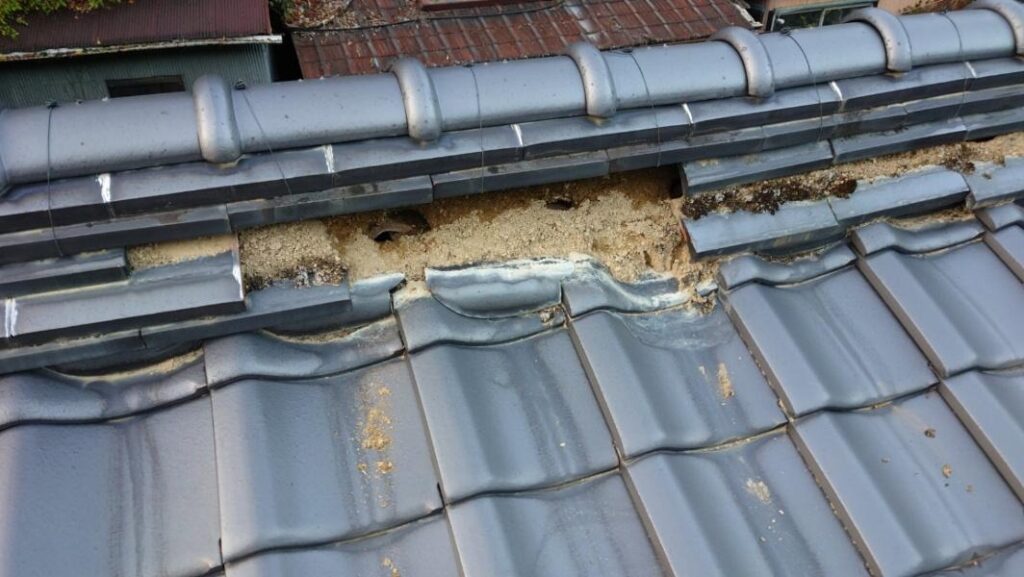 瓦だけでなく葺き土も崩れています。