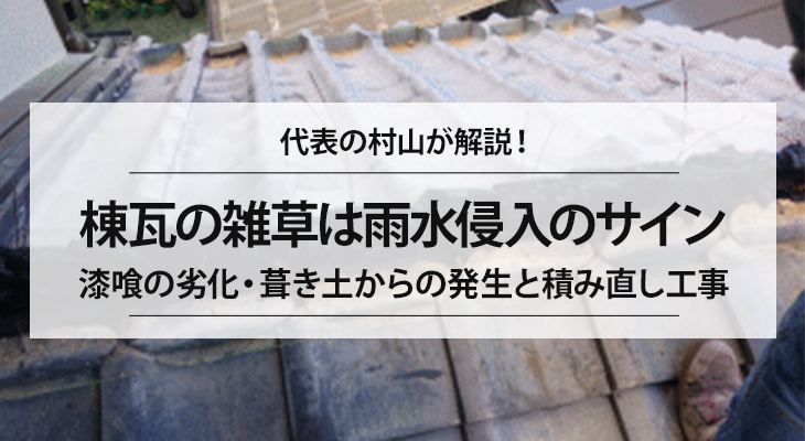 棟瓦の雑草は雨水侵入のサイン｜漆喰の劣化・葺き土からの発生と積み直し工事