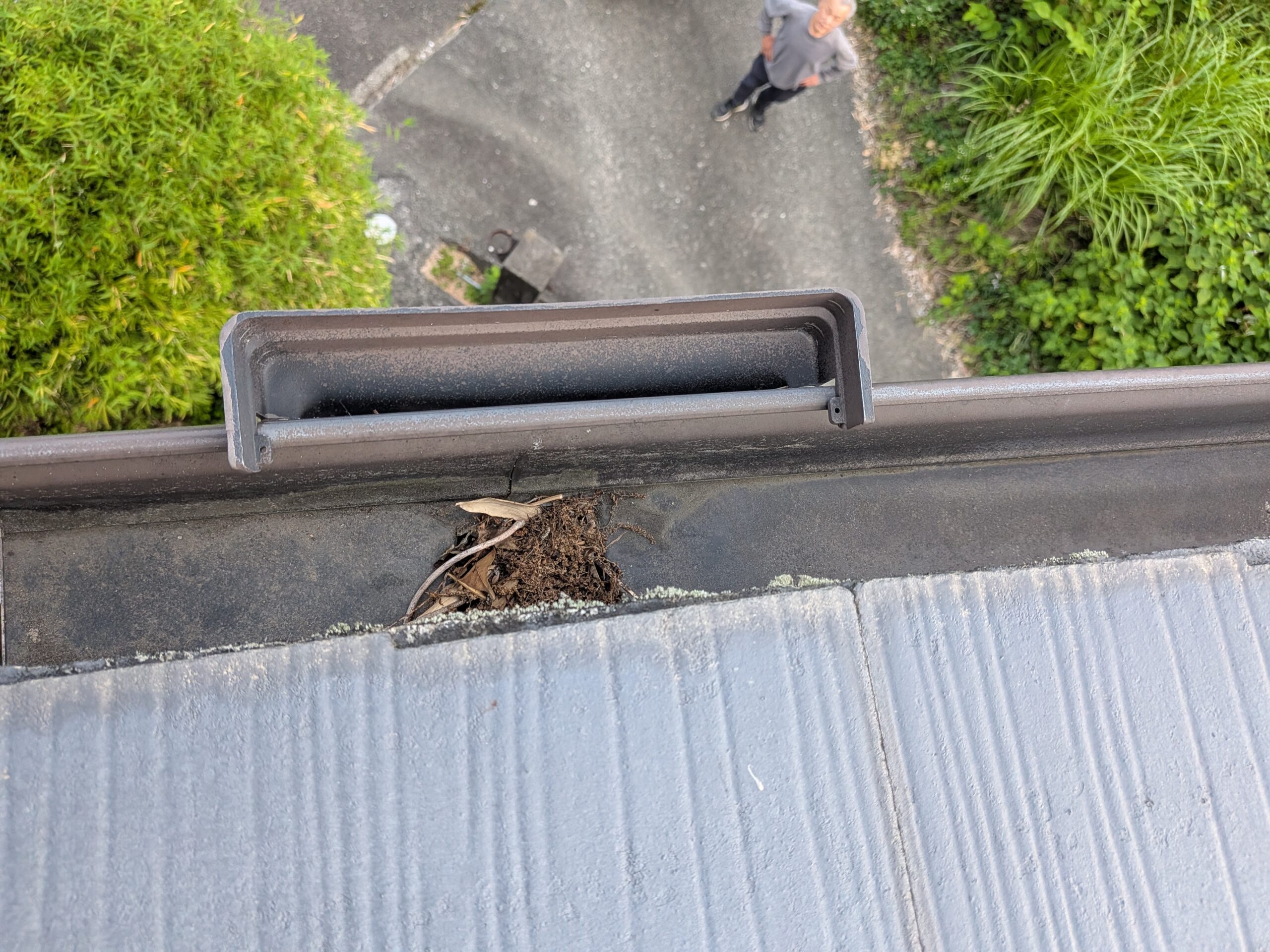 梅雨までに間に合いました