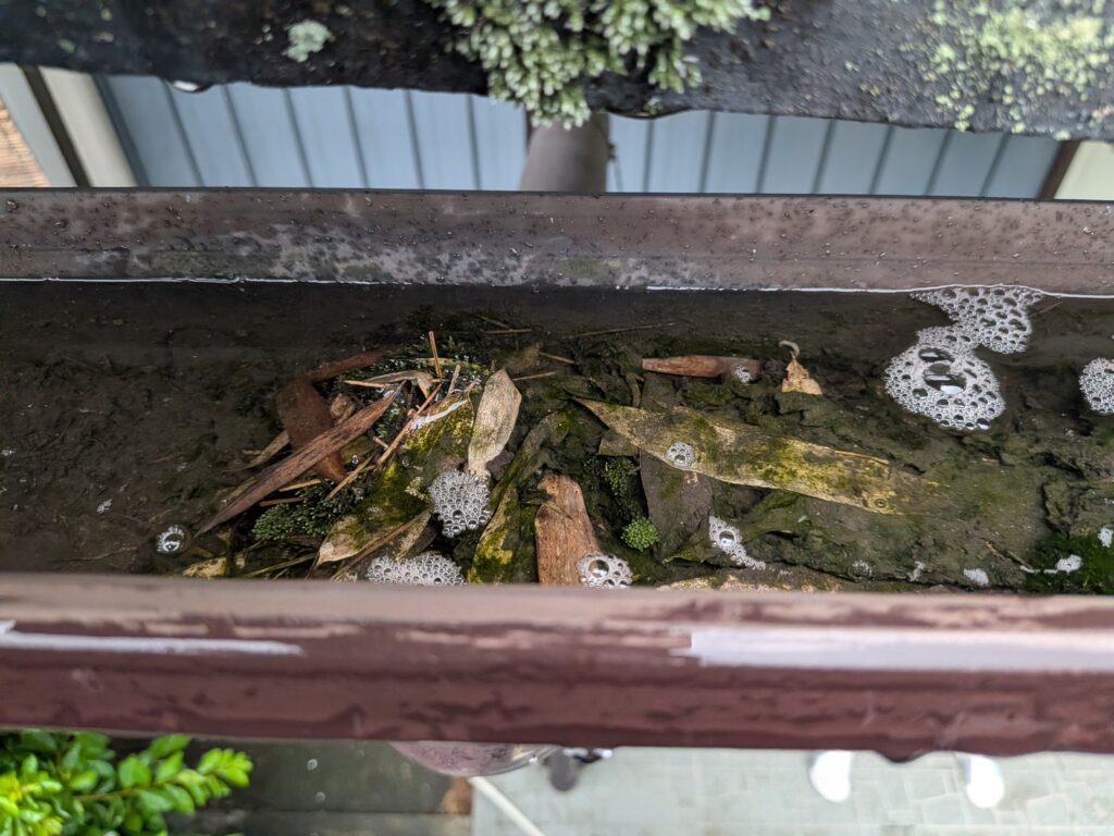 雨が降るたび樋から水があふれる…