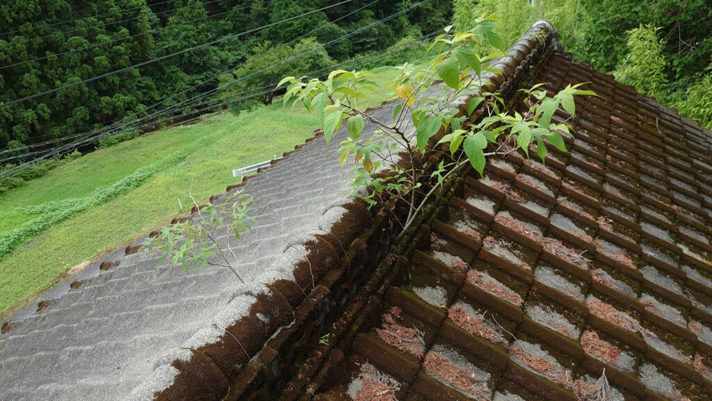 葺き替えか塗装か迷ったら？南国市・築40年和型スレート屋根の現地調査で葺き替えをおすすめした理由